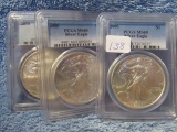 2005,06,08, U.S. SILVER EAGLES ALL PCGS MS69