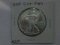 2009 SILVER EAGLE BU