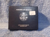 2010 SILVER EAGLE IN BOX PF