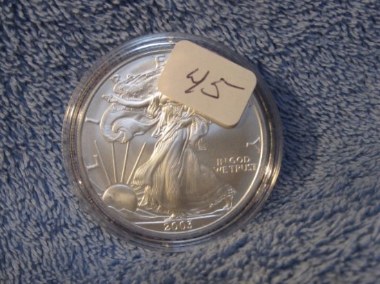 2003 SILVER EAGLE BU