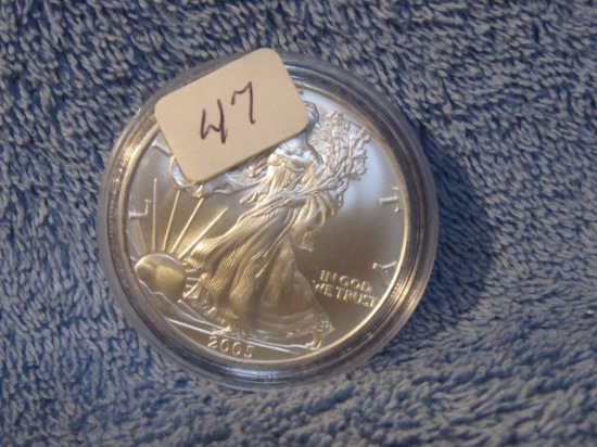 2005 SILVER EAGLE BU