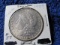 1904 MORGAN DOLLAR BU