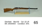 Glenfield    Mod 60    Cal .22 LR    SN: 25530503    Condition: 30%