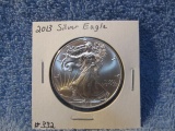 2013 SILVER EAGLE BU