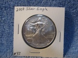 2009 SILVER EAGLE BU