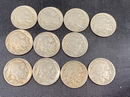 COLLECTION STARTER of Buffalo Nickels, see description for list of dates included