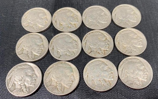 COLLECTION STARTER of Buffalo Nickels, see description for list of dates included