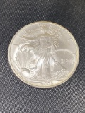 2005 US American Silver Eagle, 1 Troy Ounce of .999 Fine Silver