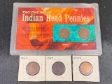 Indianhead Cents Lot, 1865, 1884, 1889, 1895 and 1908