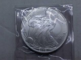 2006 SILVER EAGLE BU