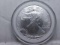 1999 SILVER EAGLE BU