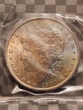 1900 MORGAN DOLLAR NICE TONING BU