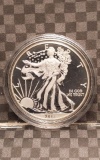 2013W REVERSE PROOF SILVER EAGLE