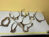 HUGE lot of assorted antlers, with skull plates, see all pics