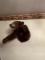 Half Mount Black Bear (Cinnamon Phase)