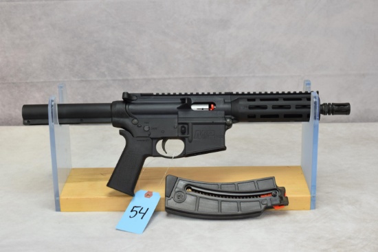 Smith & Wesson  Mod M&P 15-22P  Cal .22 LR