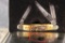 2002 Case XX 'Beatty Buck' Commemorative Knife in Tin
