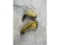 2 Antique Powder Horns