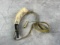 Powder Horn Inscribed 