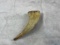 Antique Powder Horn