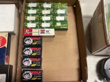 .22 LR Ammo