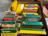 Assorted 222 Ammo