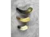 3 Powder Horns