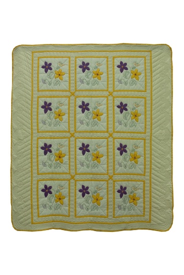Viola