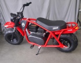 B200 Coleman Mini Bike