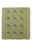Viola
