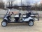 2016 YAMAHA G29 EFI GAS POWERED GOLF CART