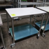 NEW polytop table w/ undershelf, on casters