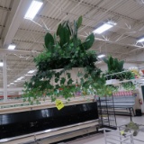 hanging faux plants
