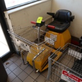 Mart Cart ADA shopper's cart