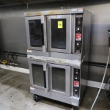 Wolf double-stack convection oven