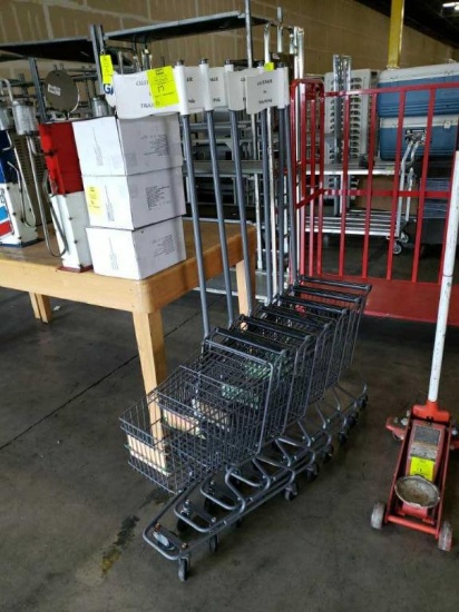 Mini Shopping Carts