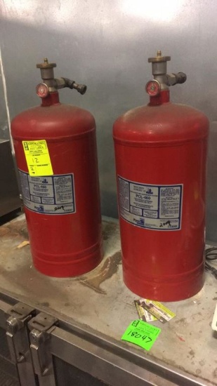 Restaurant Grade Fire Extinguishers