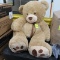 giant cuddly teddy bear