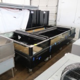 NEW 2017 Hill Phoenix double-wide freezer coffin w/ electric defrost