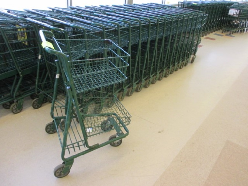 Small Shopping Carts