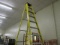 Werner 12' Ladder