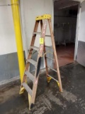 6ft Ladder