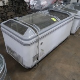 AHT portable freezer