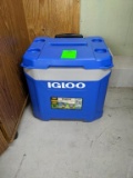 Igloo cooler