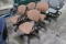 Office Chairs