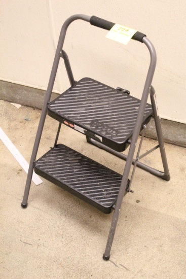 Cosco Step Ladder