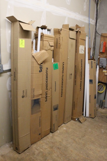 Group Of Assorted Fluorescent Light Bulbs