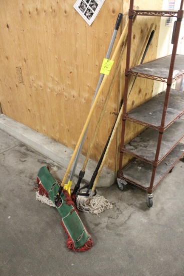Group Of Mops