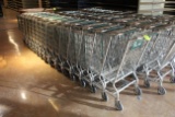 Standard Size Shopping Carts