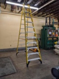 Werner 12ft Ladder